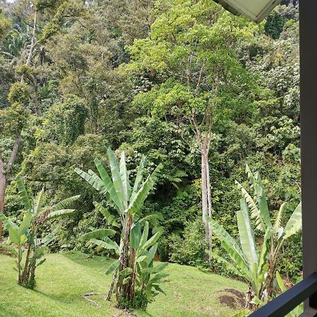 Sementra Hot Spring Nature Resort Gopeng Zewnętrze zdjęcie
